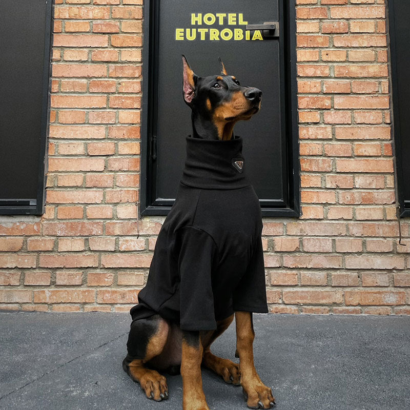 Camisola com estampado de primavera e verão