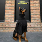 Camisola com estampado de primavera e verão