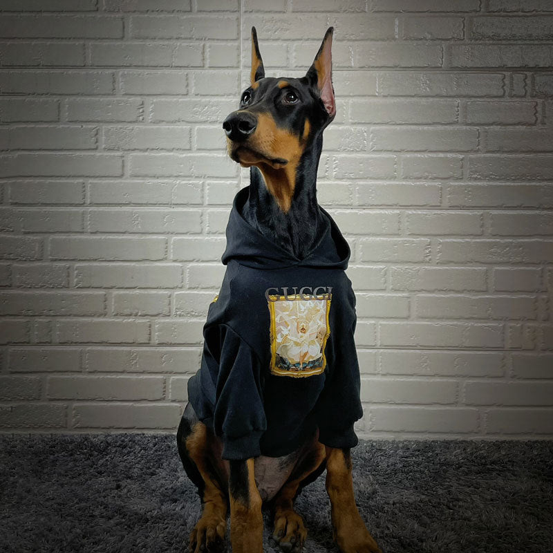 Camisola com estampado de primavera e verão