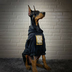 Camisola com estampado de primavera e verão