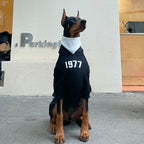 Camisola com estampado de primavera e verão