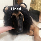 Capa engraçada para cabeça de leão de estimação "Rei da Selva"