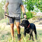 Trela retrátil para cães de grande porte