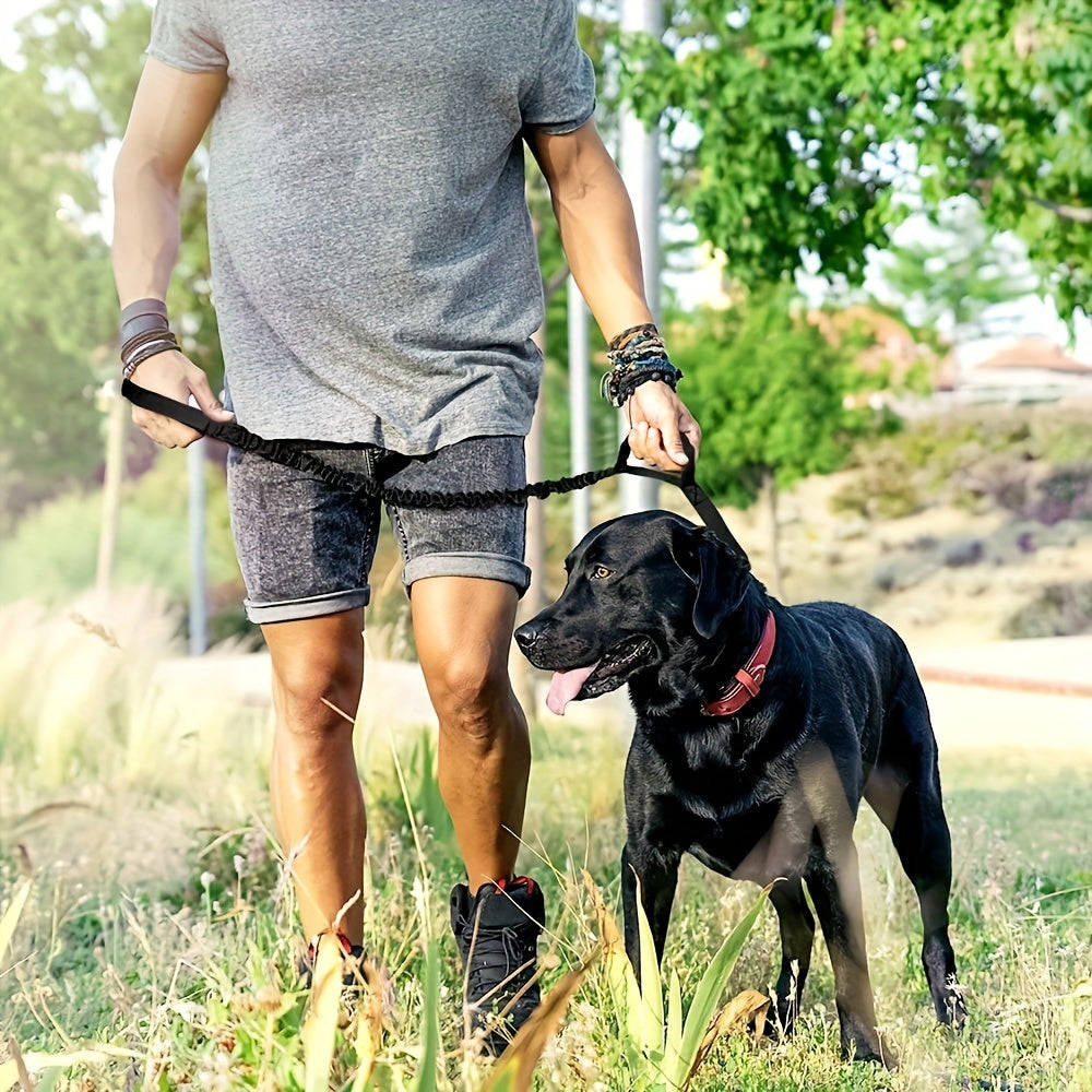 Trela retrátil para cães de grande porte